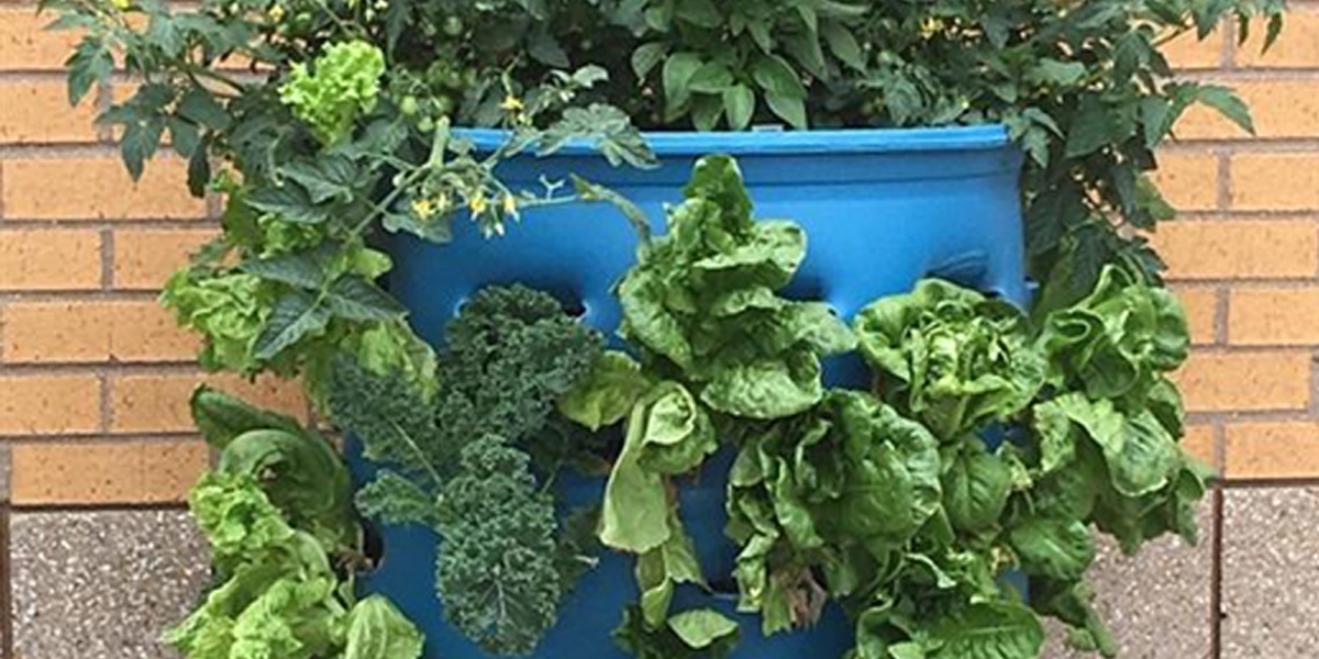 green week garden