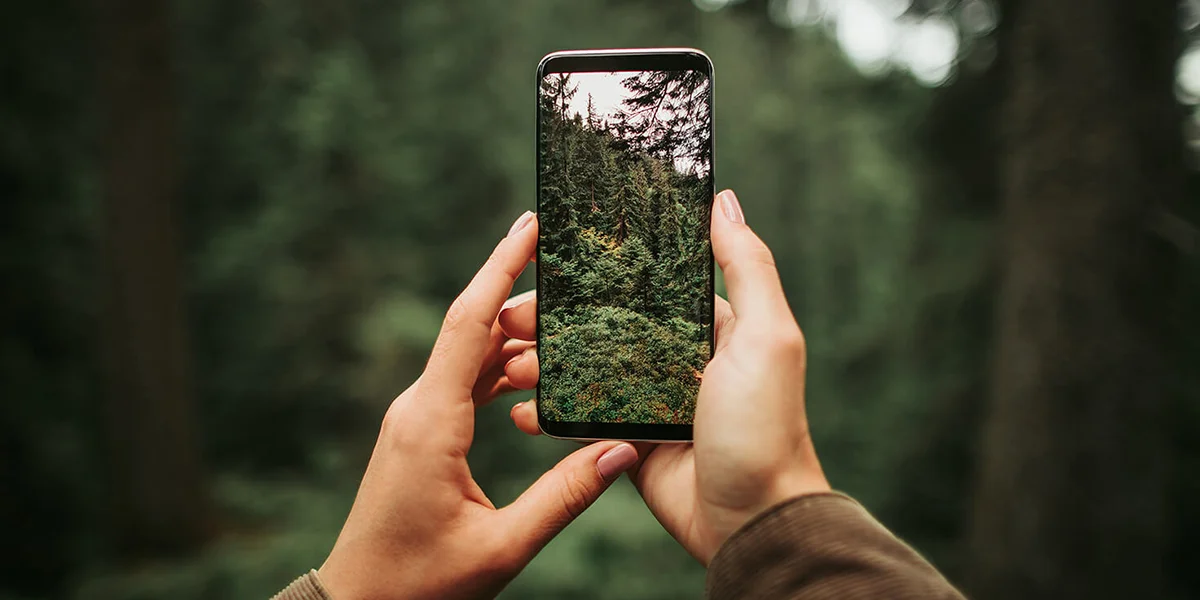 sustainable digital alternatives